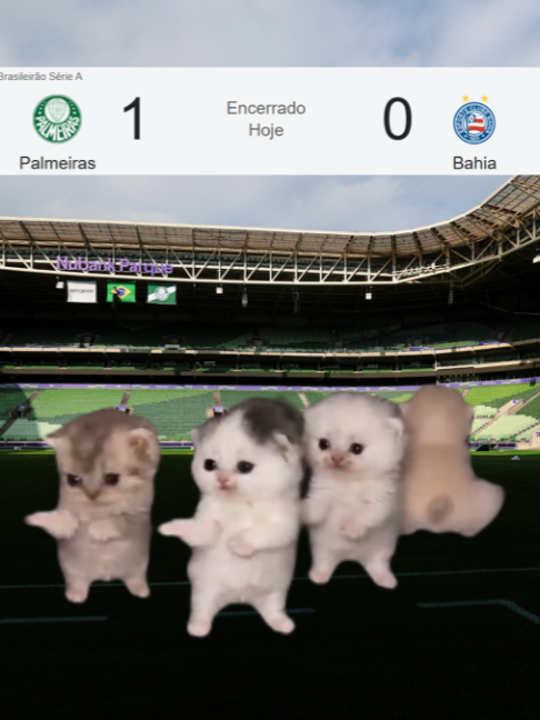 @SE Palmeiras