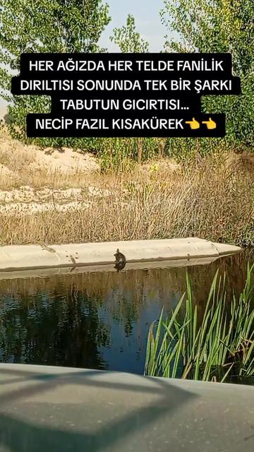 @❤️❤️AY YÜZLÜM❤️❤️