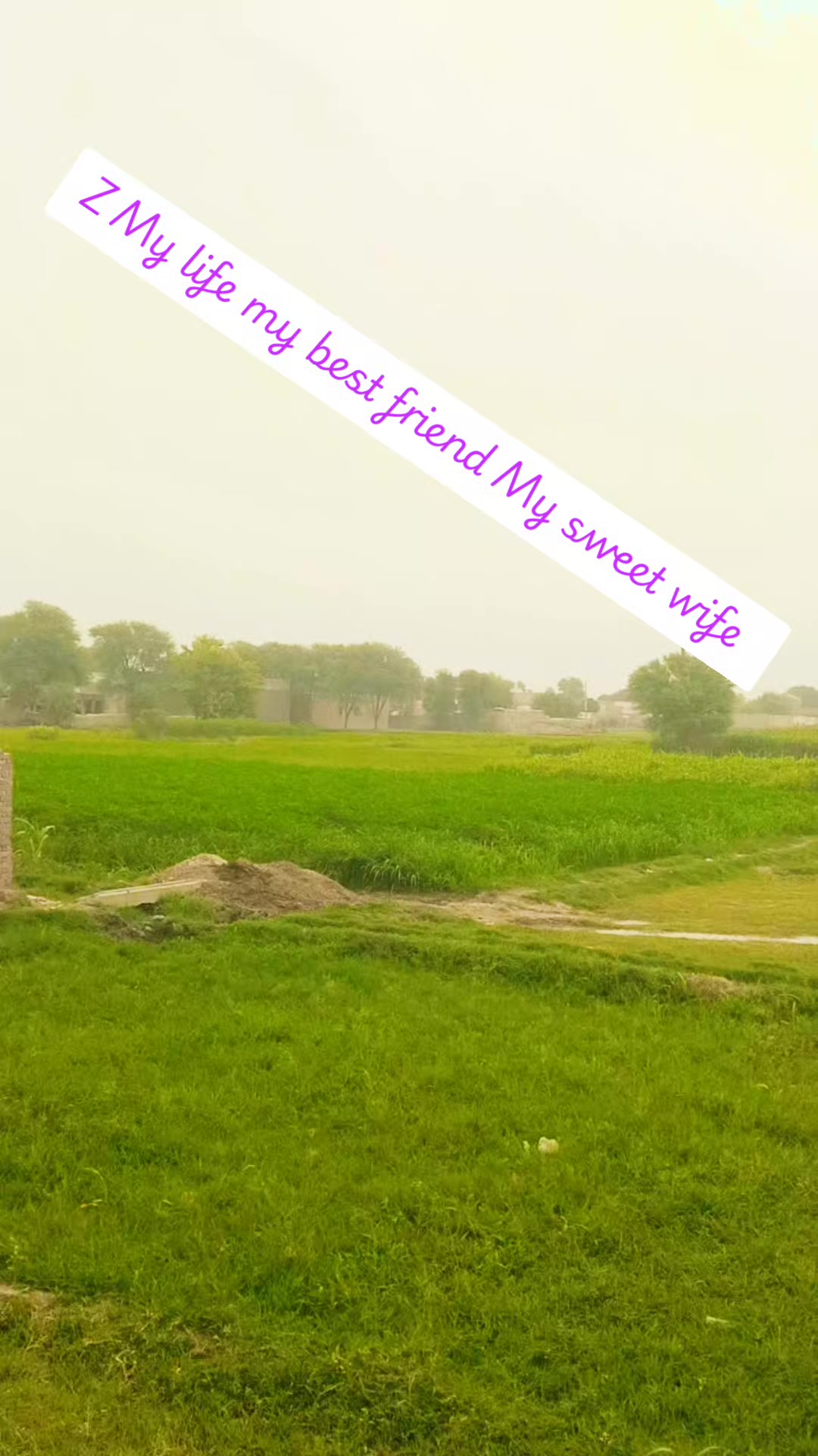 @A. Z