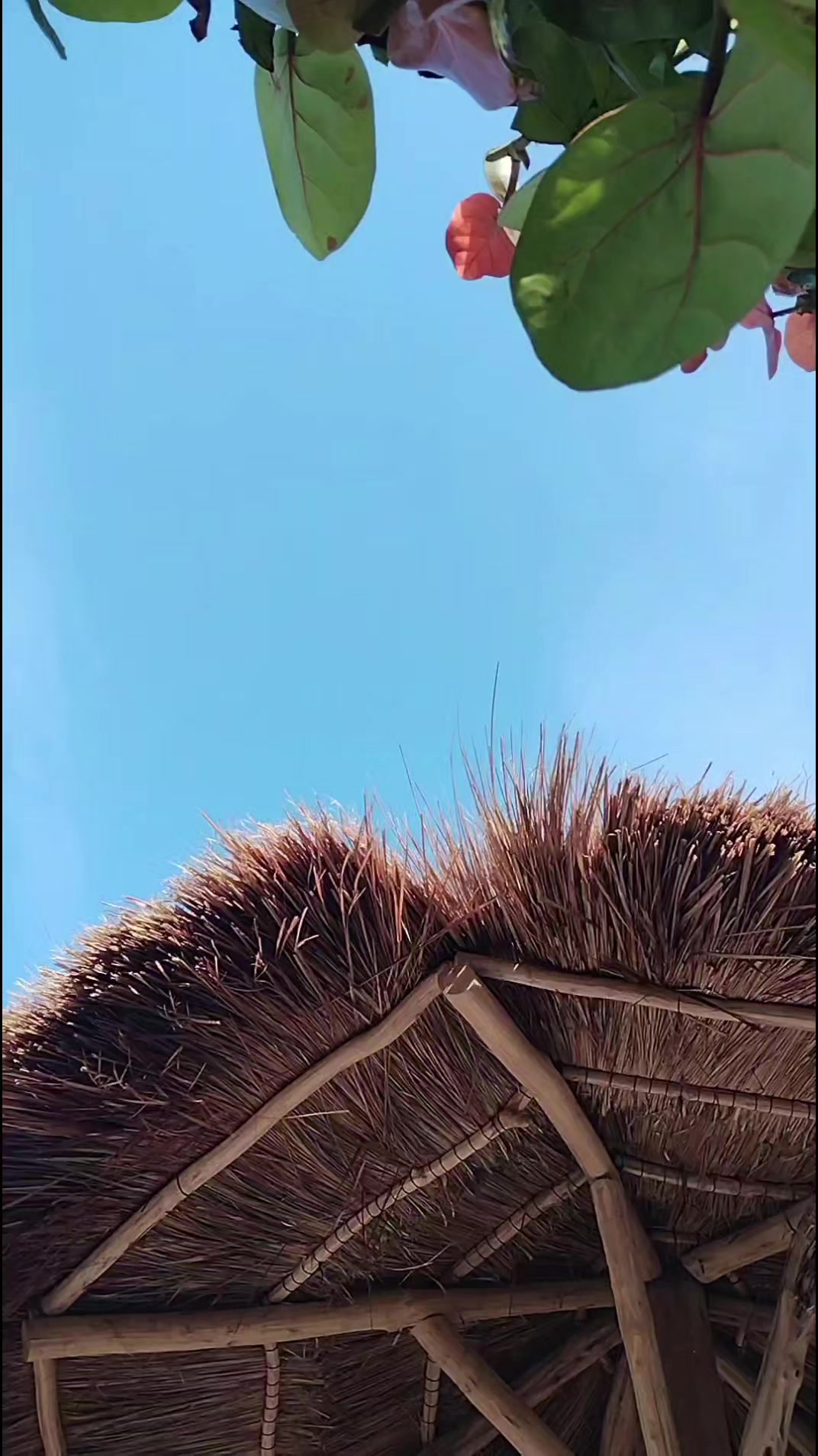 @Mipamzumzumzum