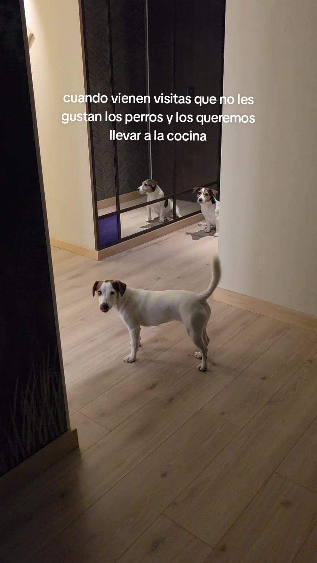 @Somos Teo y Tina