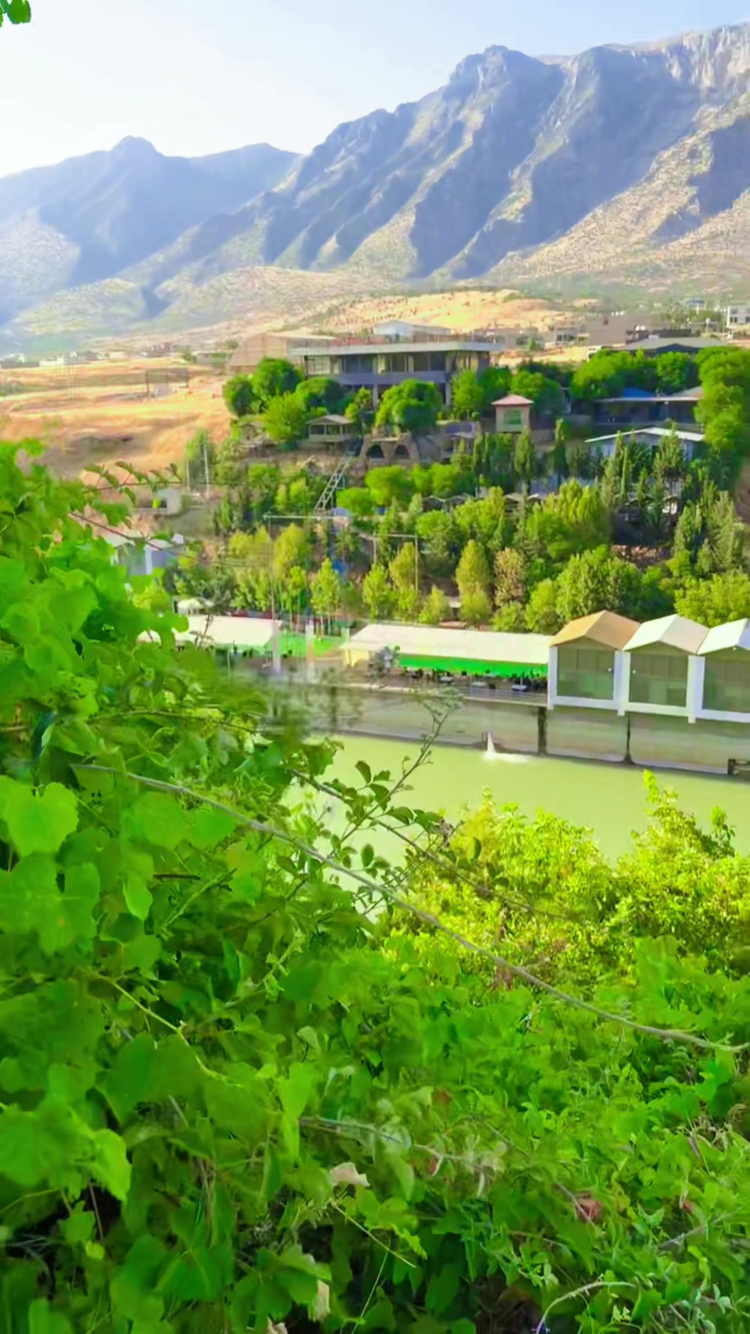 @Araz kurdi