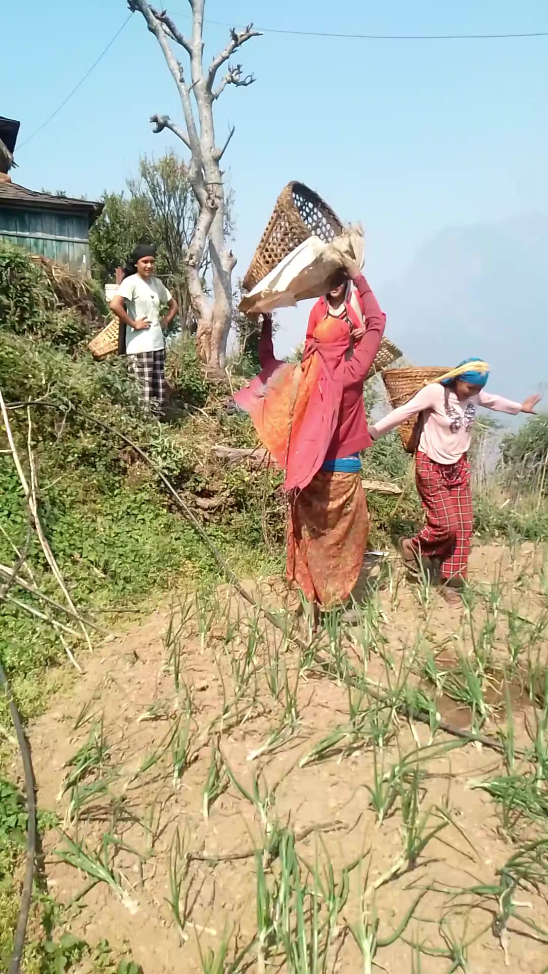 @चन्द्रकला पौडेल गल्कोट.