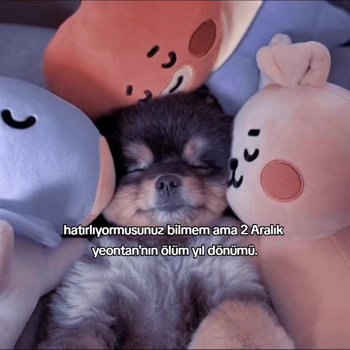 @𝘽𝙡𝙞𝙣𝙠 𝙘𝙞𝙩𝙮彡♡🦋