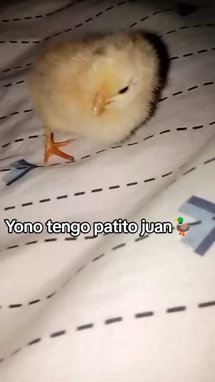 @Sebastián 74