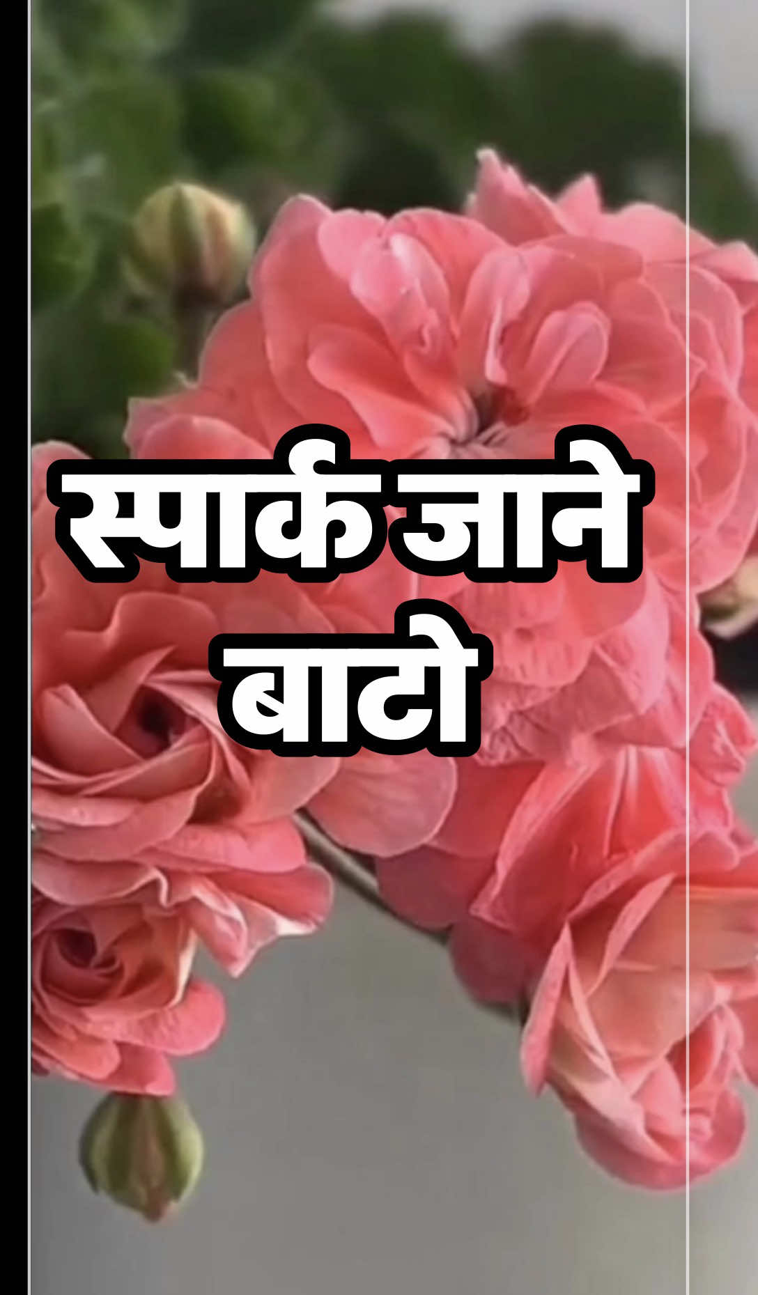 @DrSunil Paudel