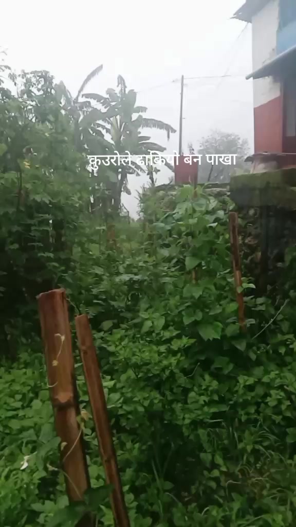 @kalpana