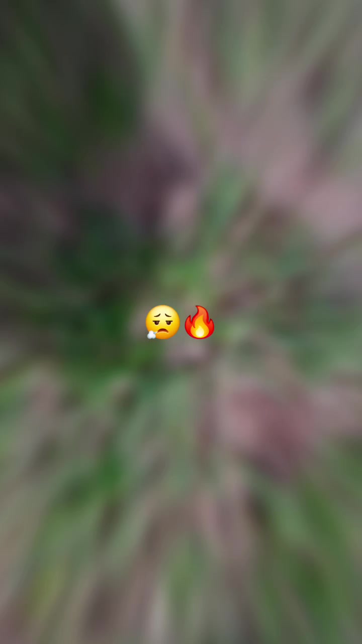 @dor~keb/☠️