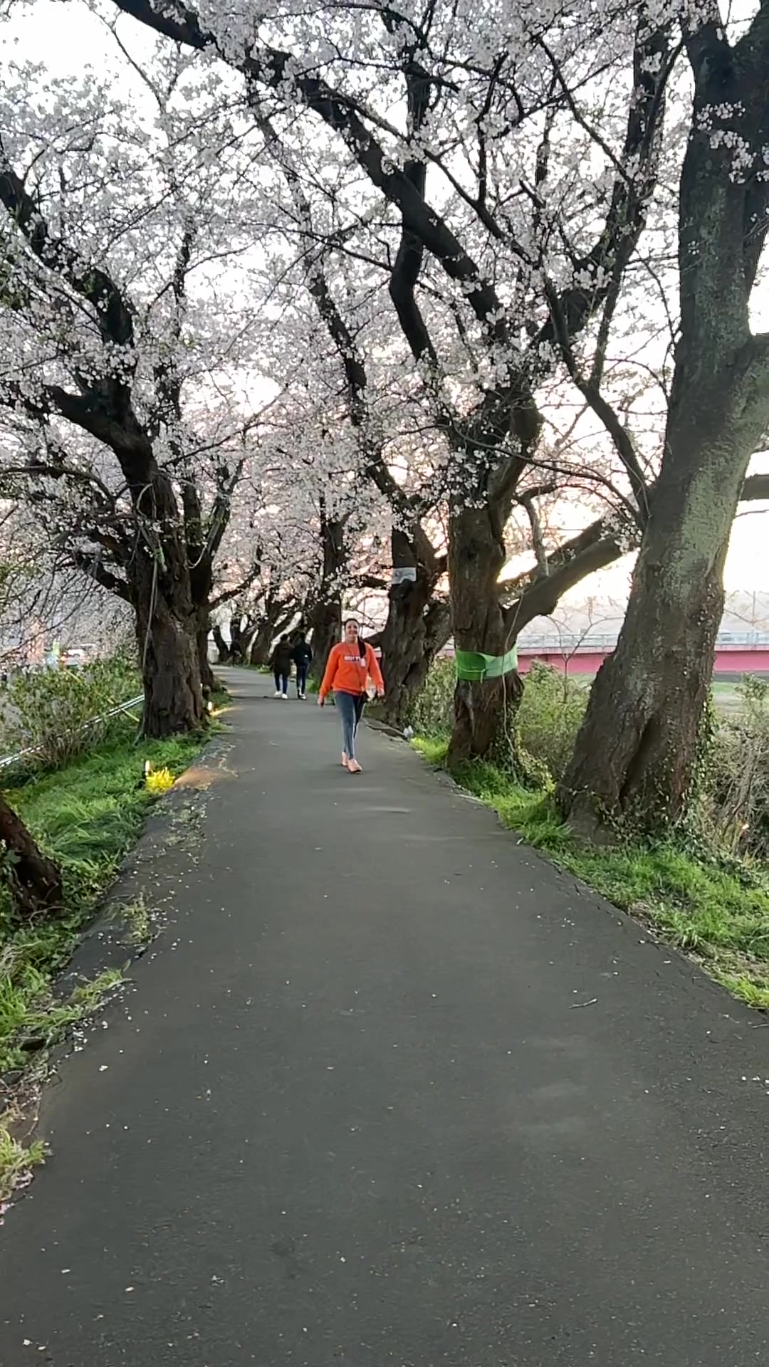@プル二マ　タパ　💕💕🌞💃🏼