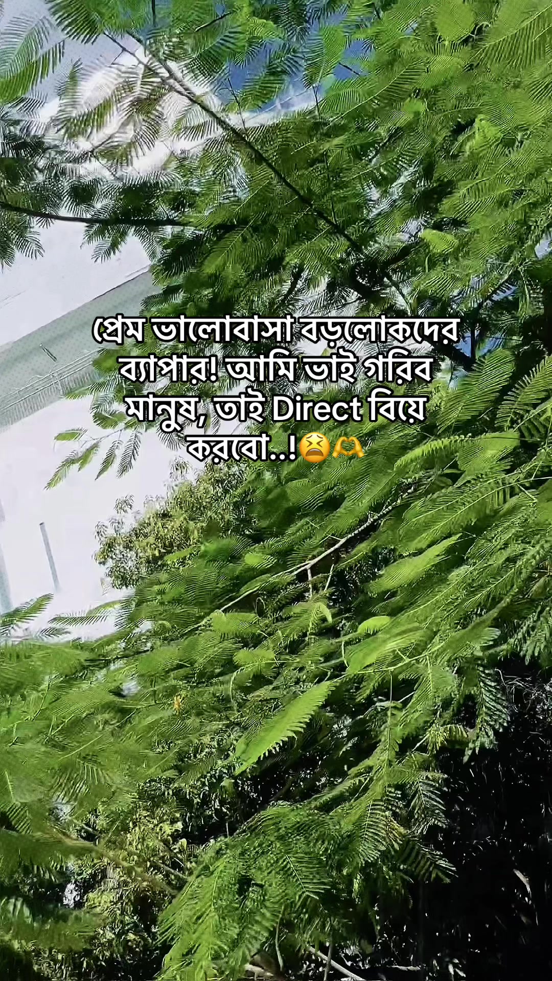 @💫Sᴇɴɪᴏʀ Pᴏᴏᴋɪᴇ 🍒🦋