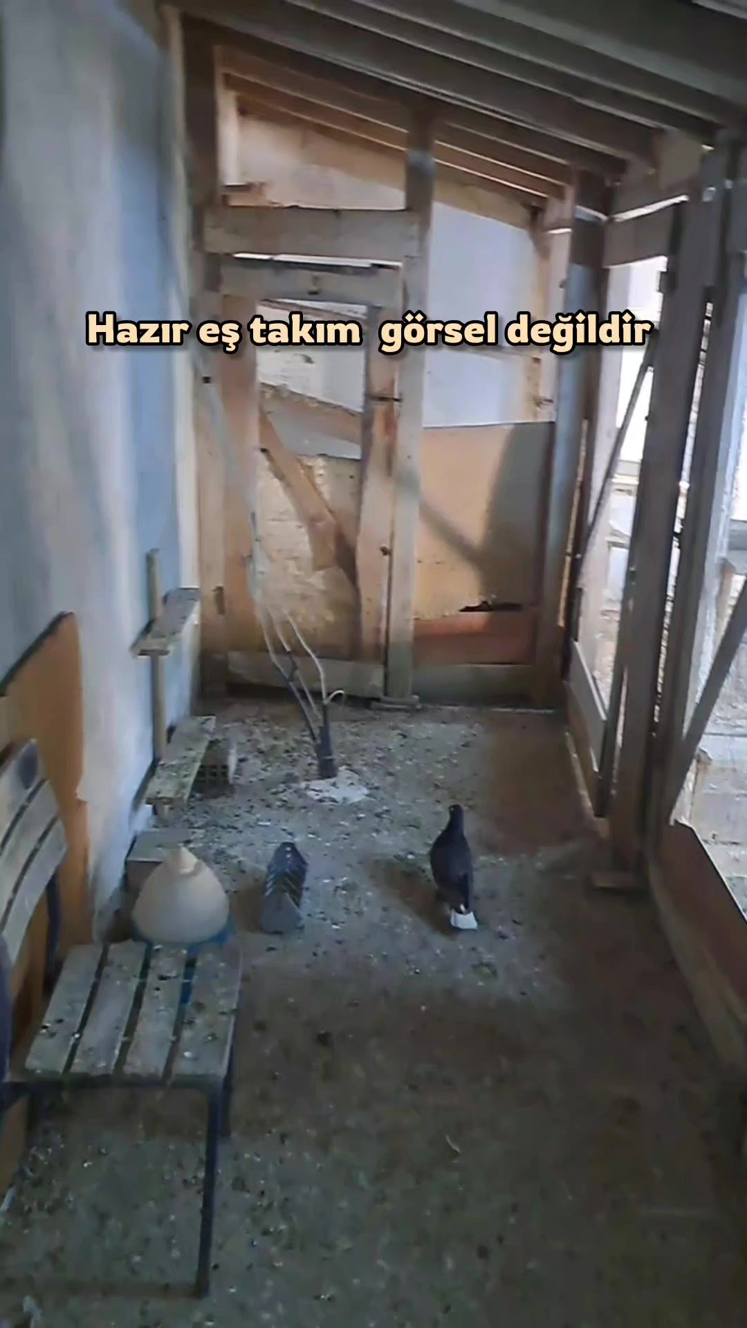 @Erkan Bey 24