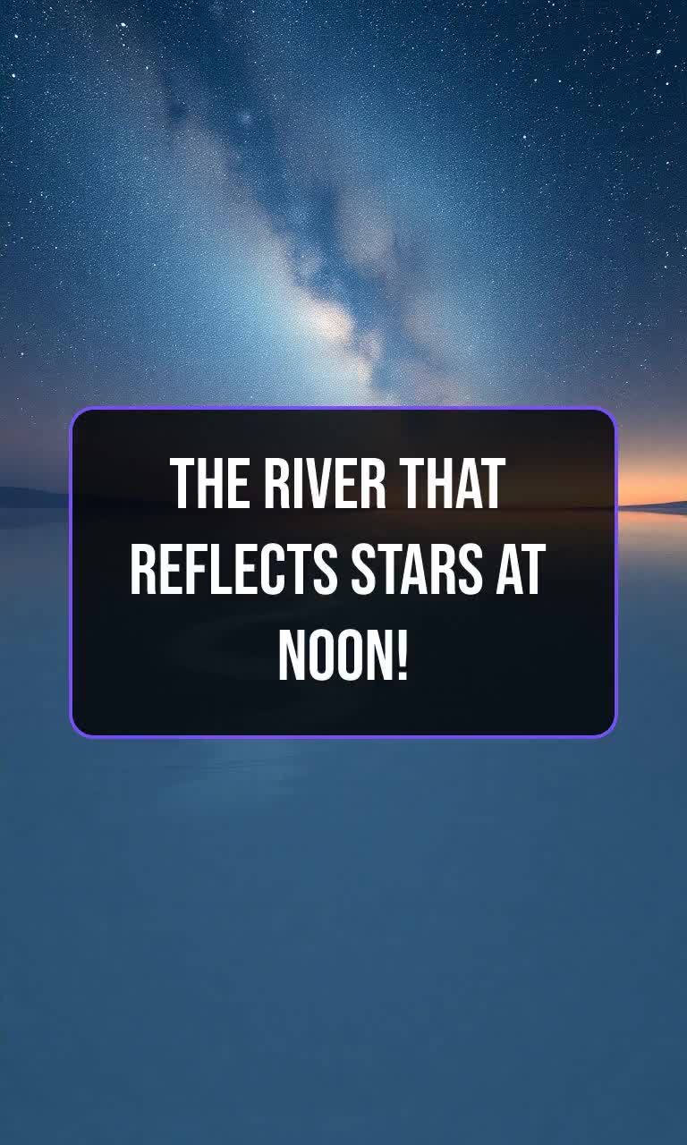 @Fun Facts