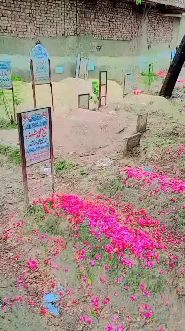 @jangli beli