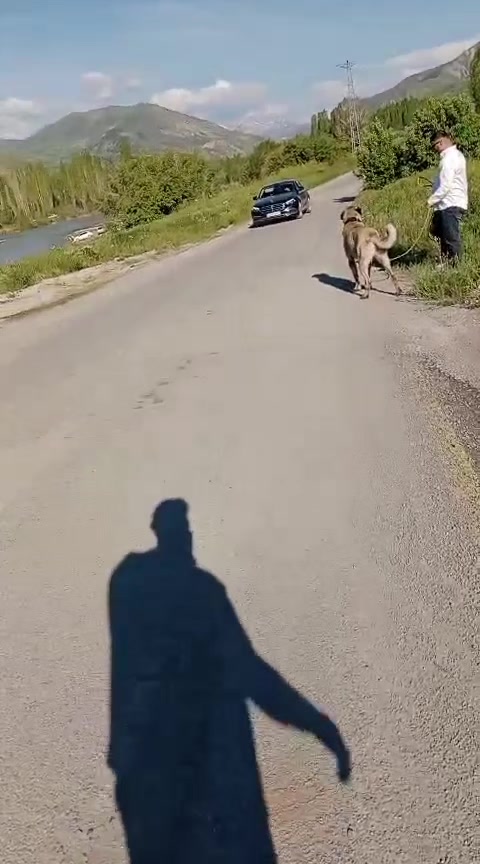 @Usta Ömer