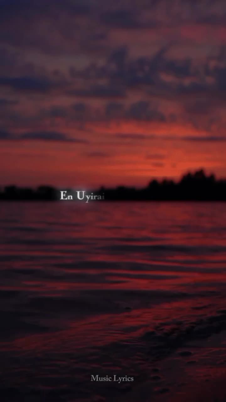 @ᴍᴜꜱɪᴄ ʟʏʀɪᴄꜱ