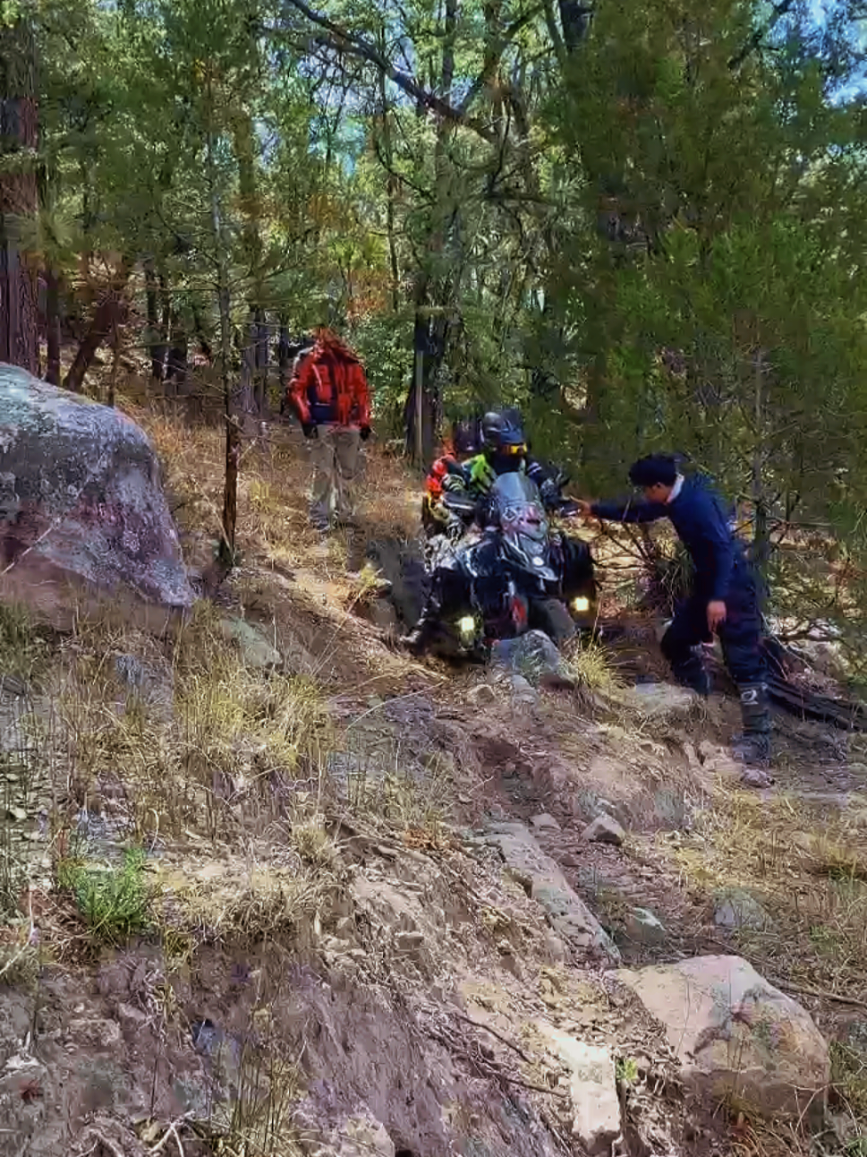 @Black Sheep Trail