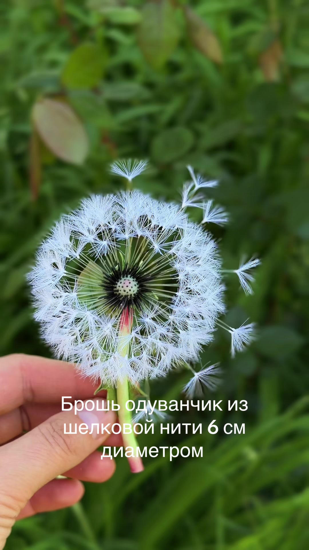 @tanya_forest_flowers