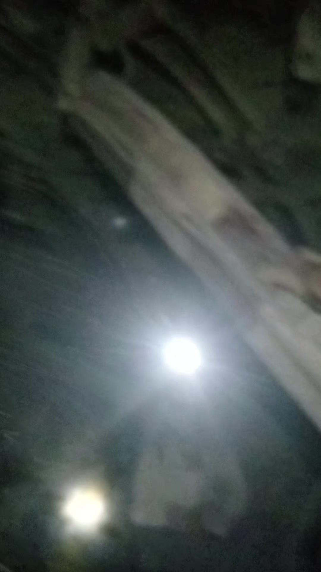@vvvvvv19917