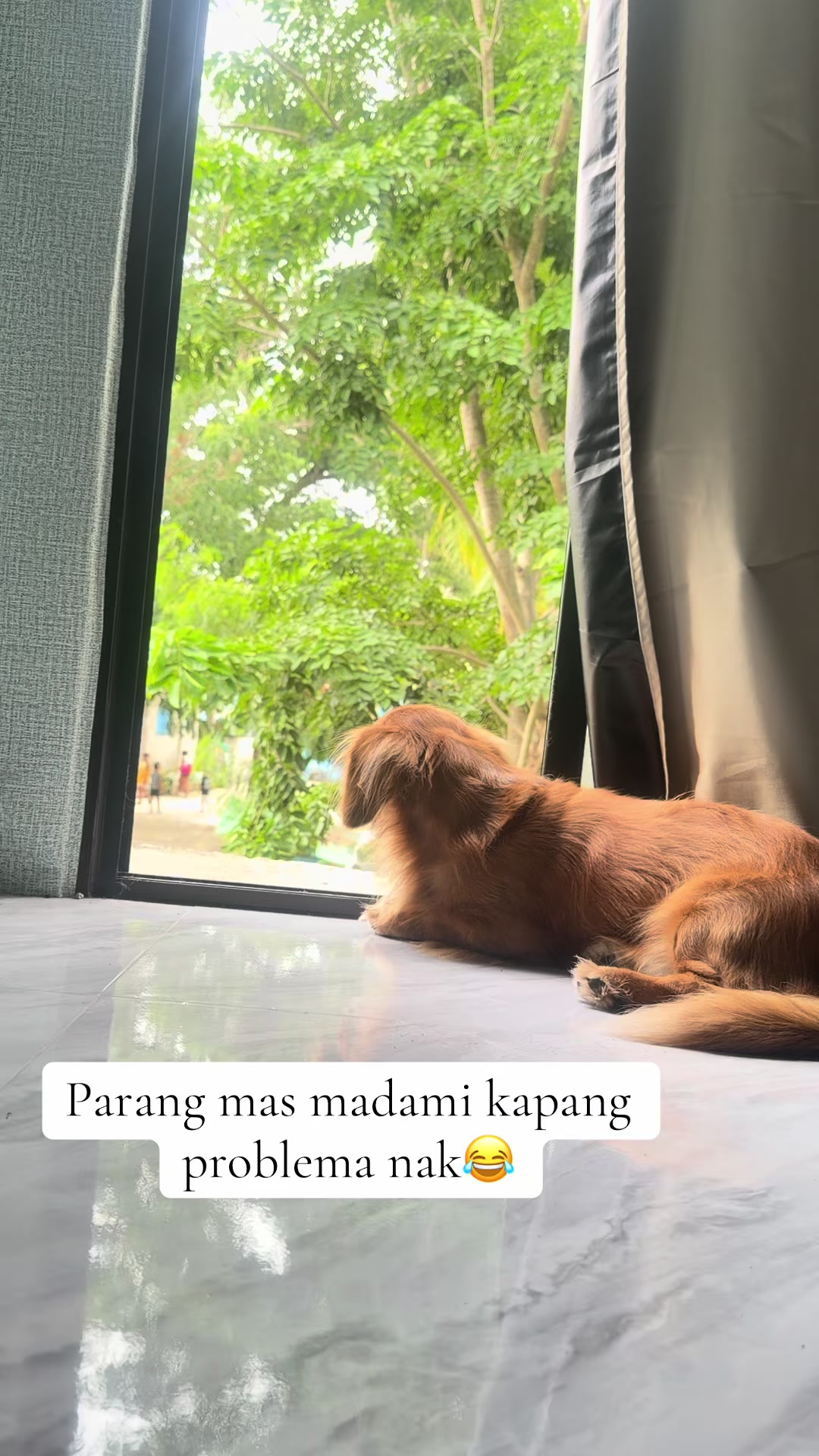 @Marj Moon 🌙