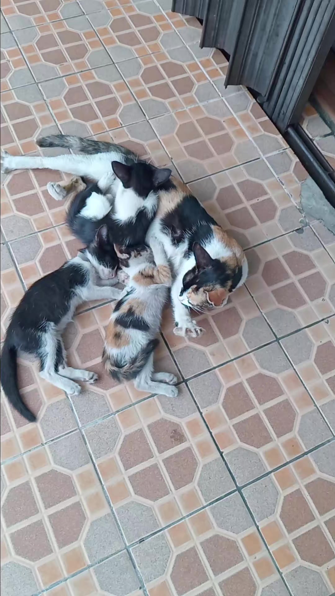 @ArifKingkong_