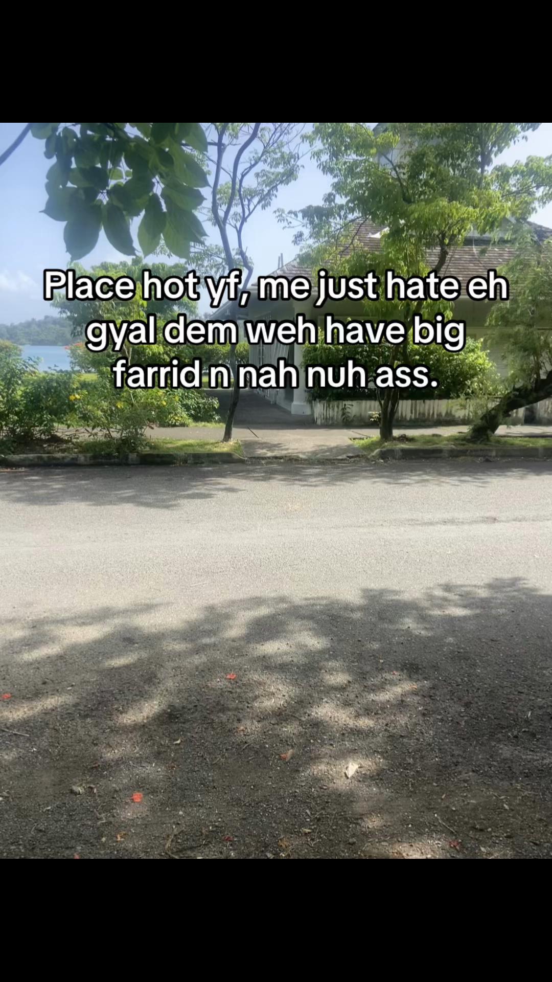 @ Sato
