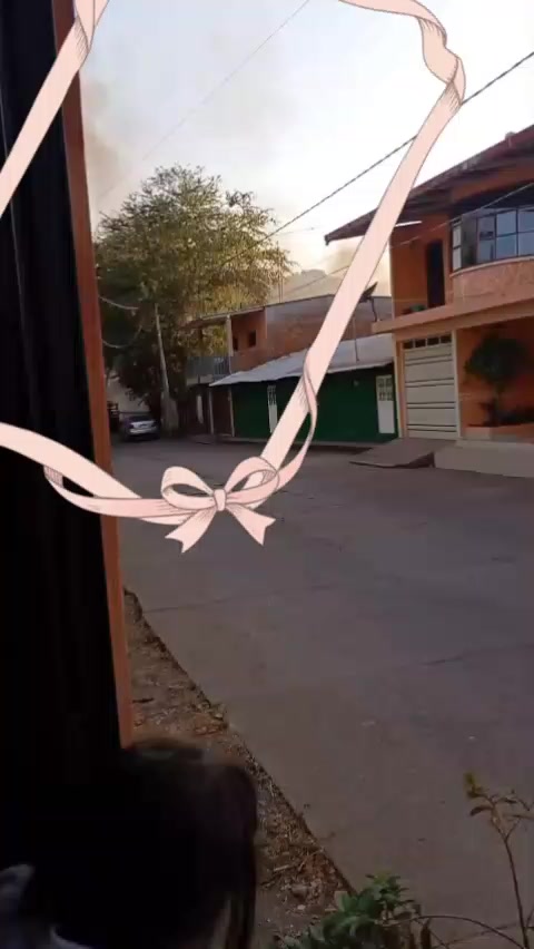 @Luz yaneth Lopez