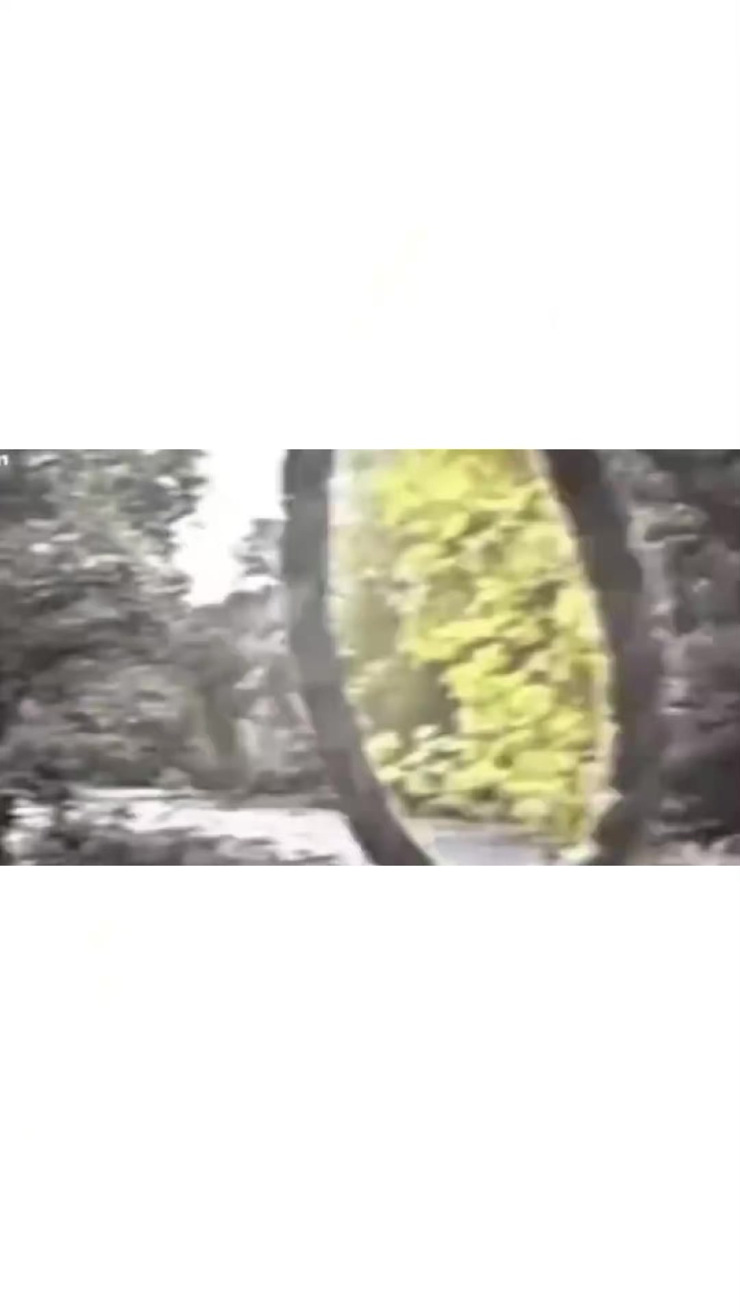 @𝐓𝐆𝐊:𝐍𝐄𝐒𝐊𝐕𝐈𝐊бегает🪽