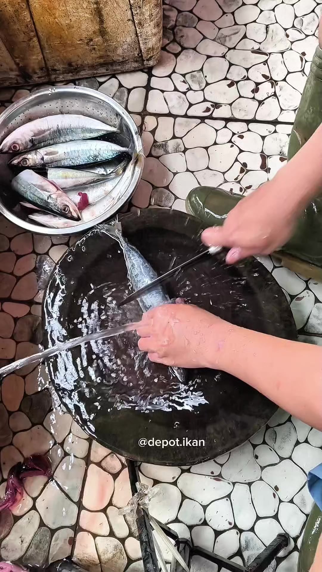 @Depot Ikan