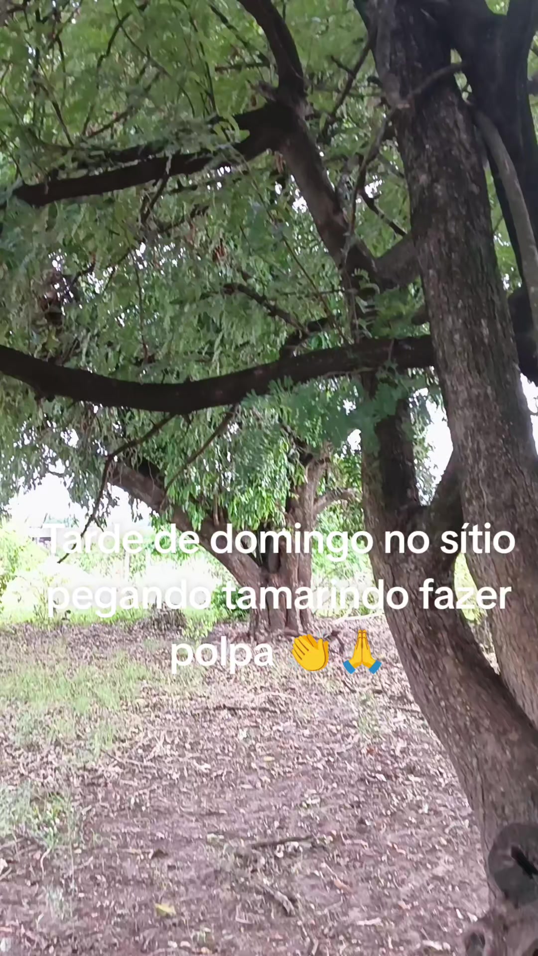@@LuSilva