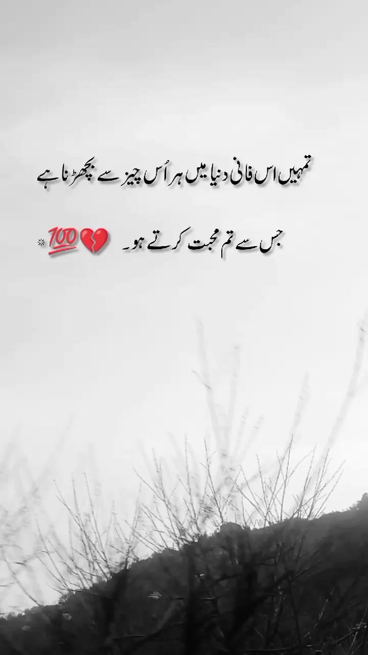 @🦅کشمیری رائٹس 🍁(◕‿-)