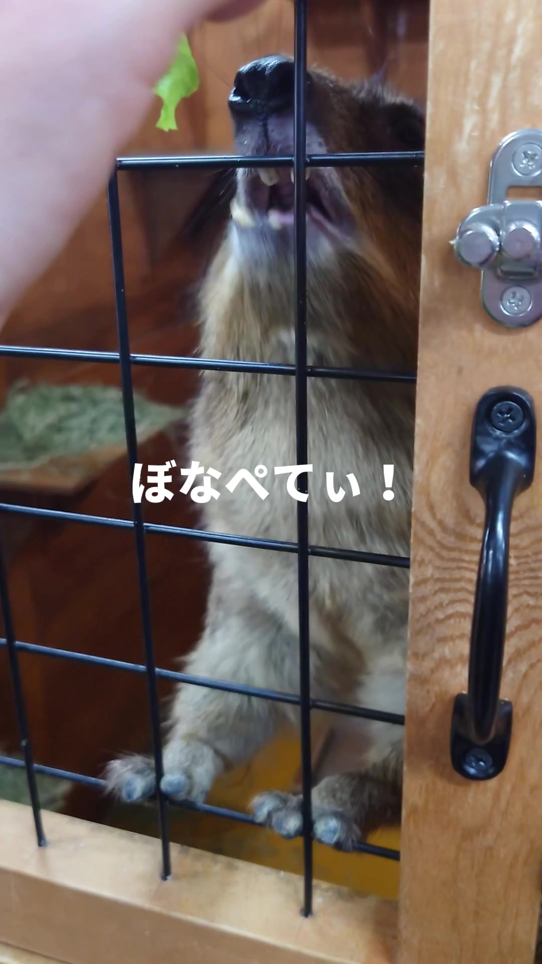 @TCA東京ECO動物海洋専門学校