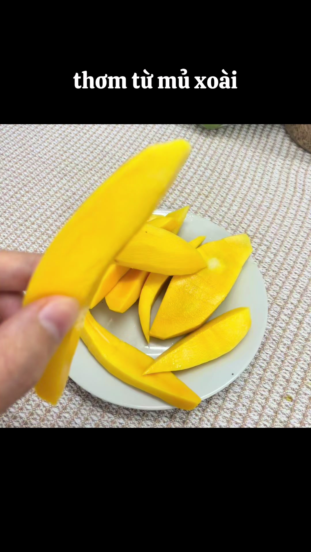 @Miichaan Japan