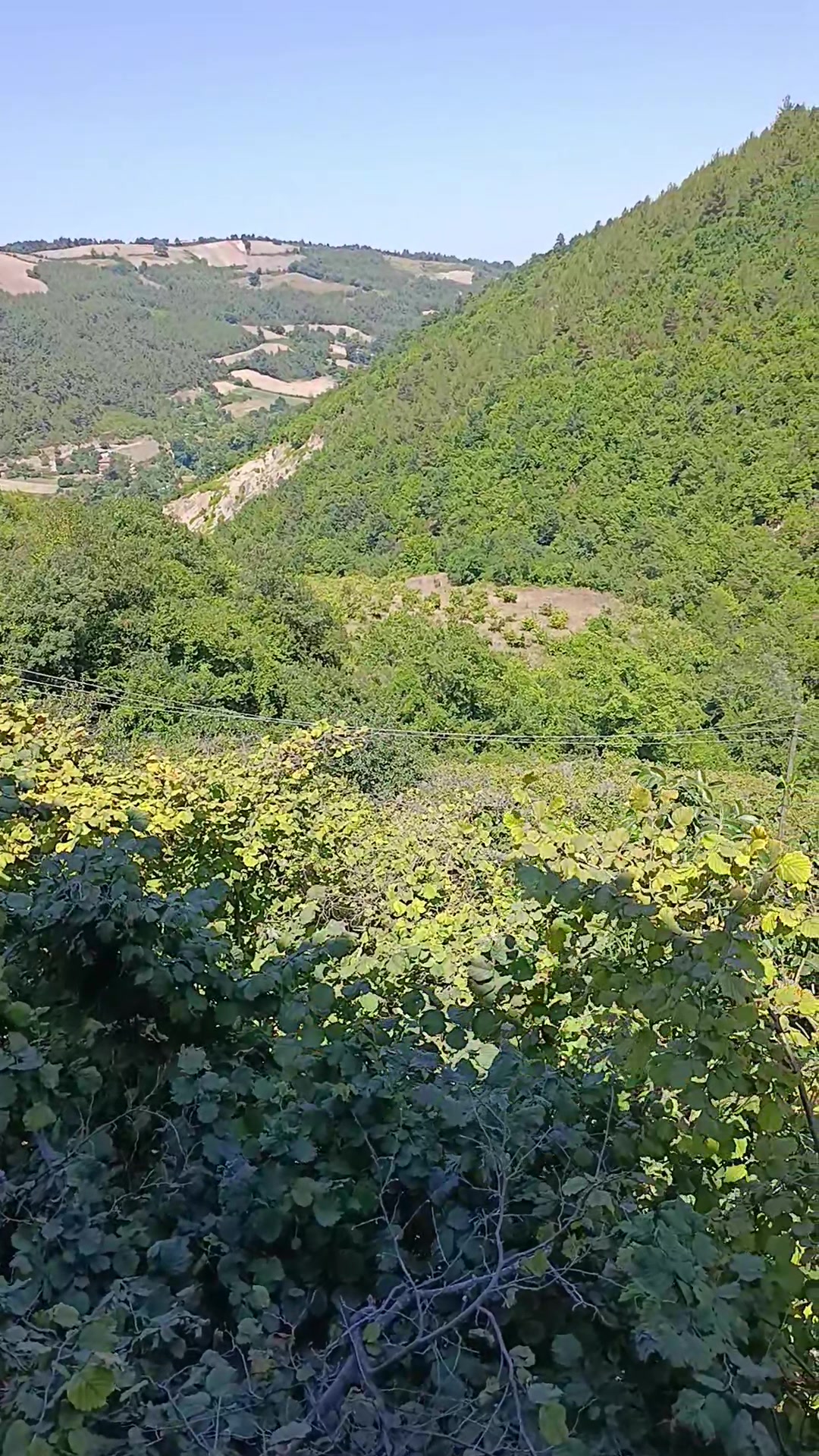 @Bafra Gider Açma