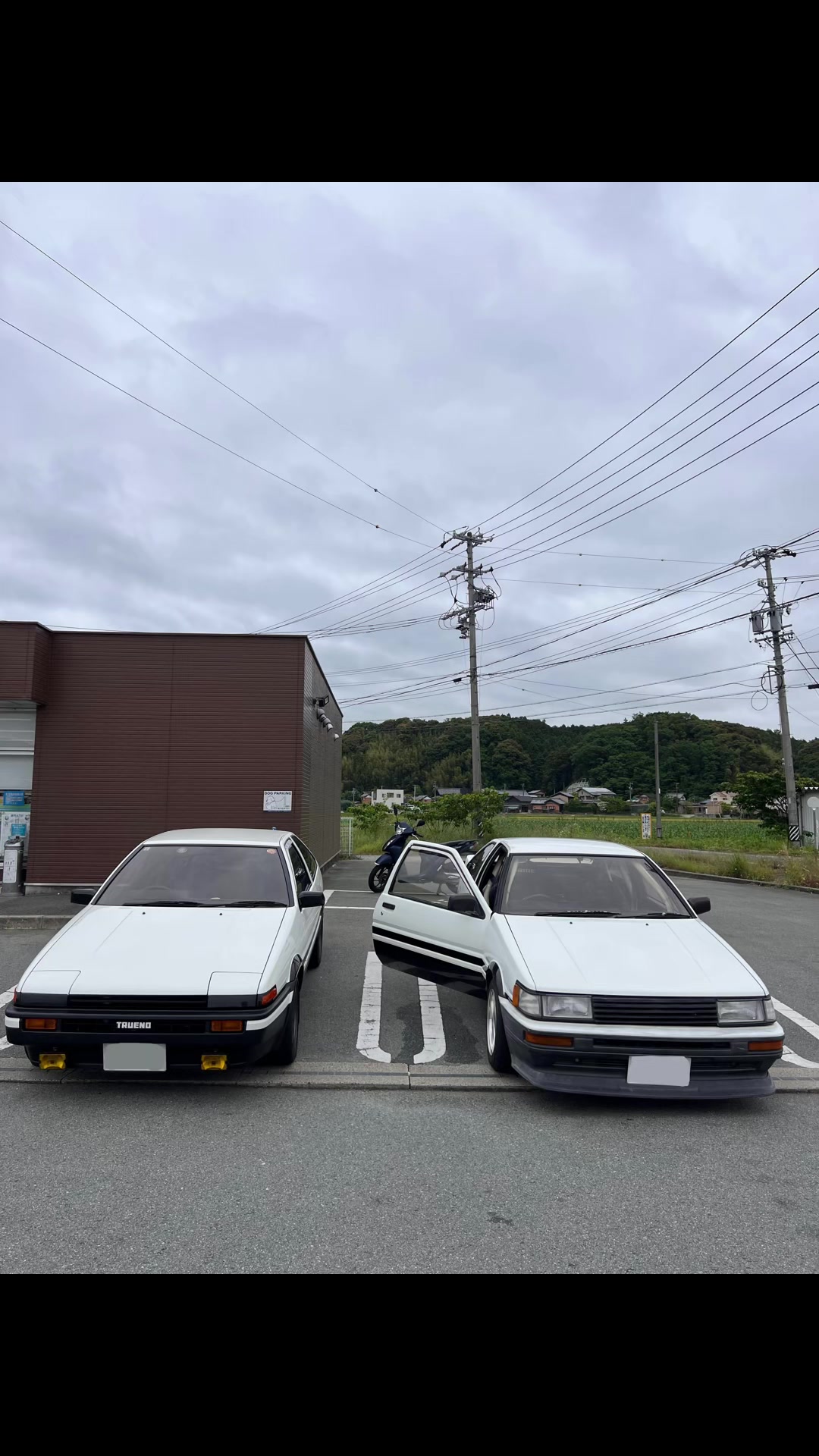 @珊瑚