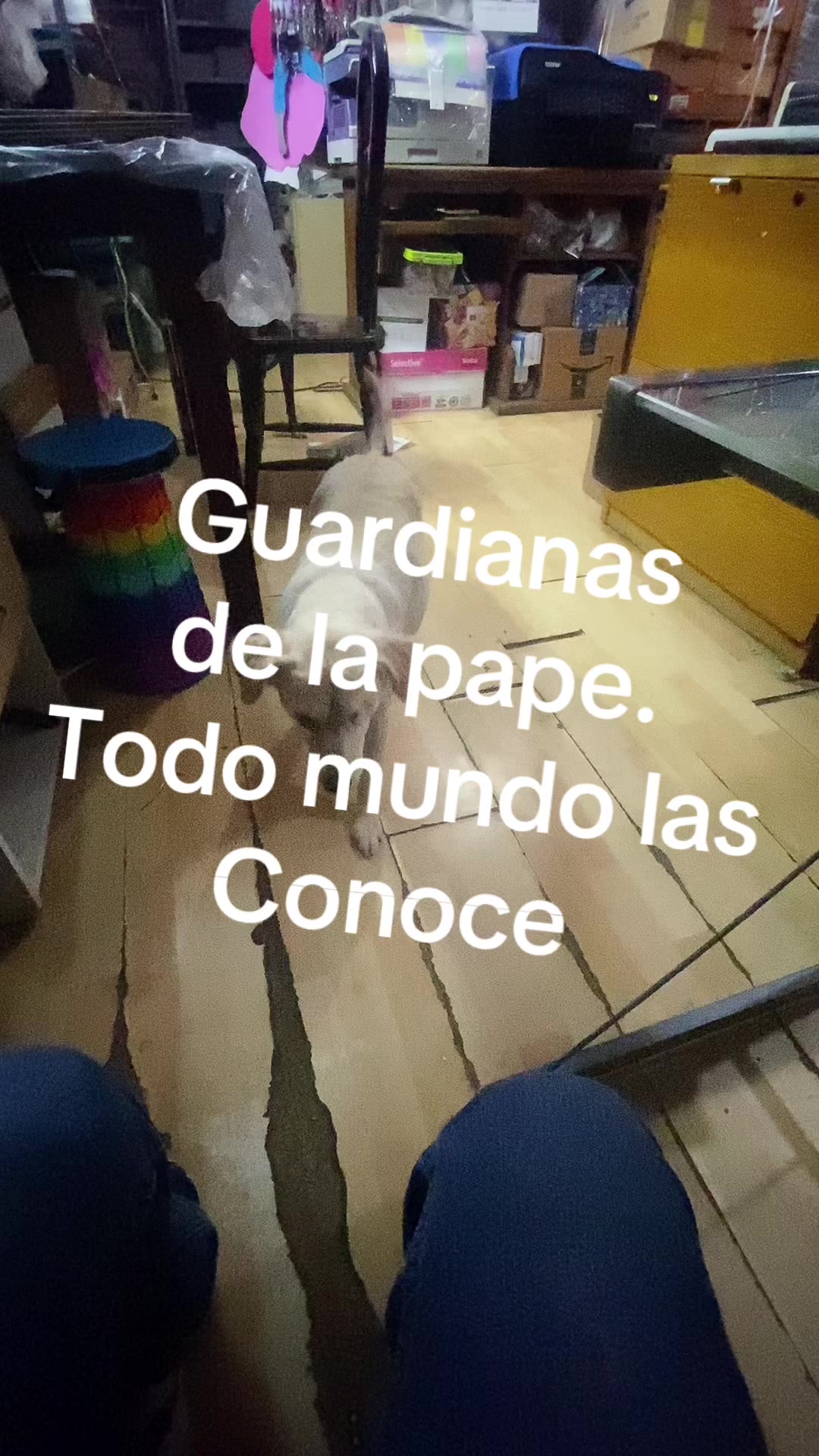 @La pape de la glorieta