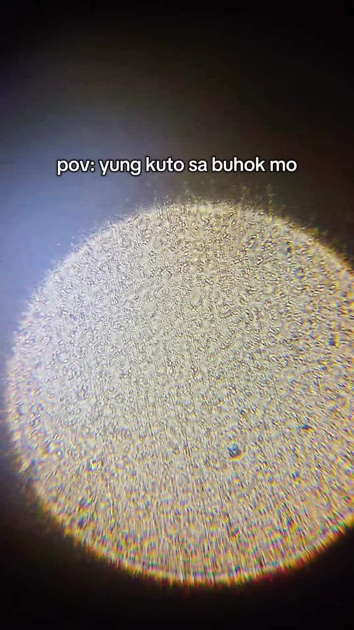 @jeremake