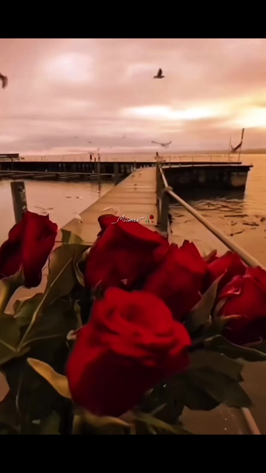 @ꨄ︎𝓜𝓲𝓶𝓲🥀