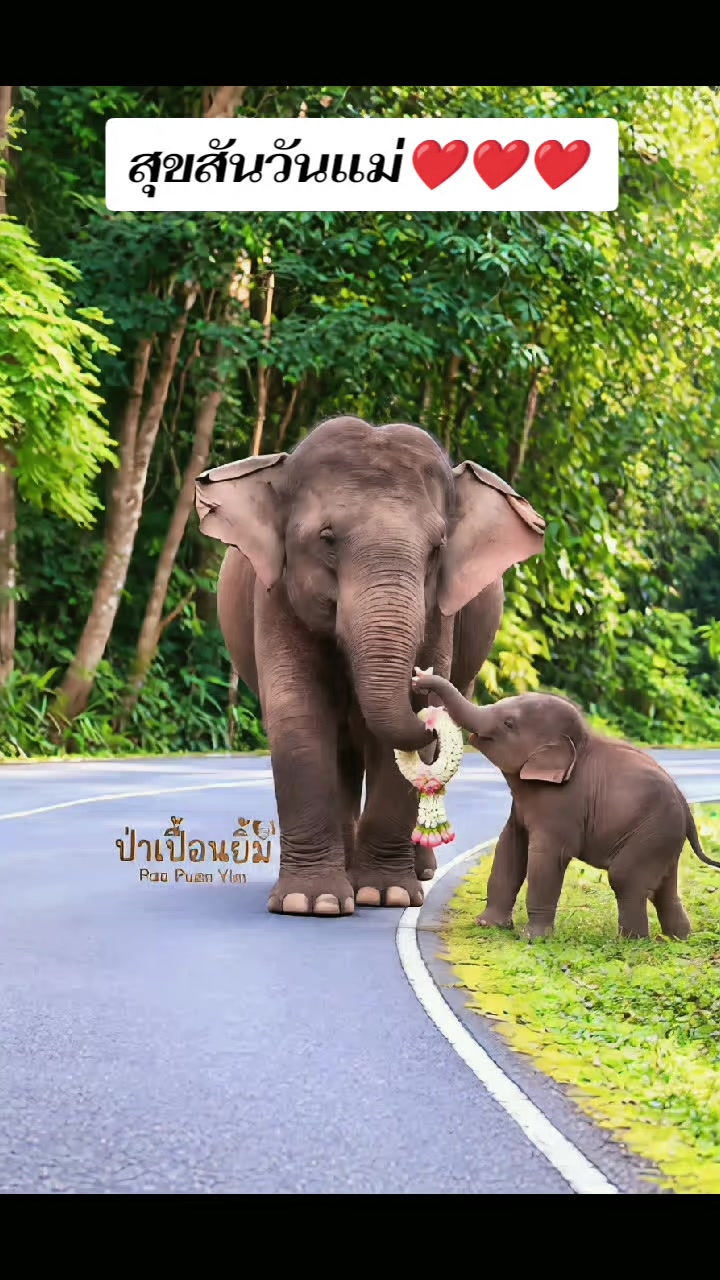 @พี่จอห์น