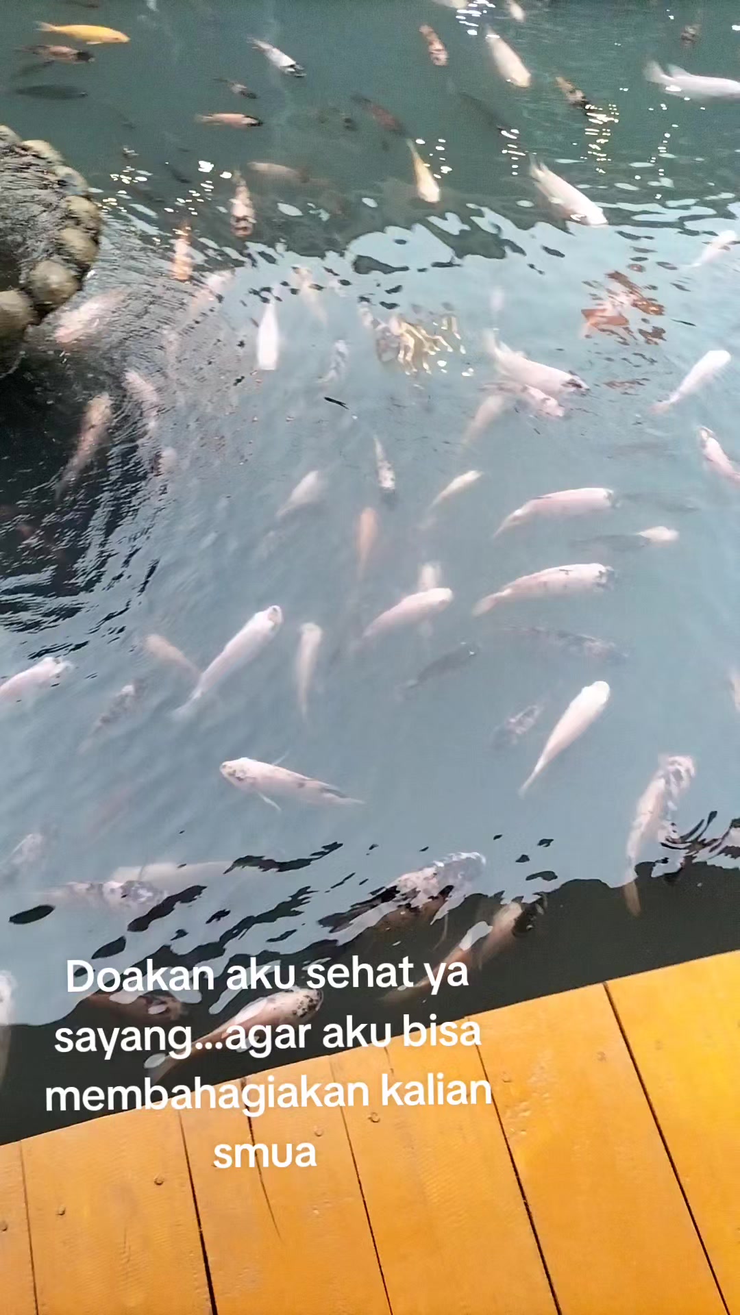 @Iin