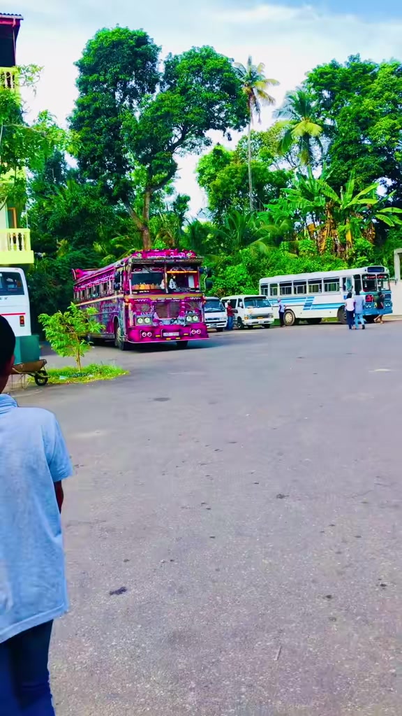 @SL bus kingdom