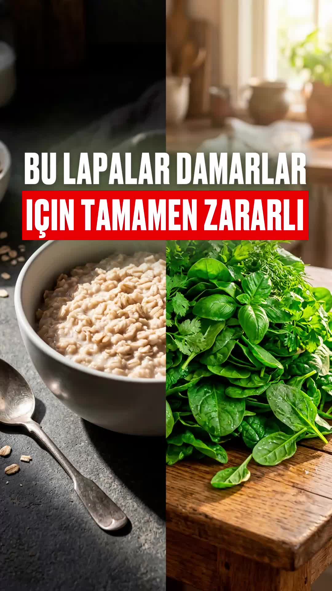 @Bolotov_Merkezi