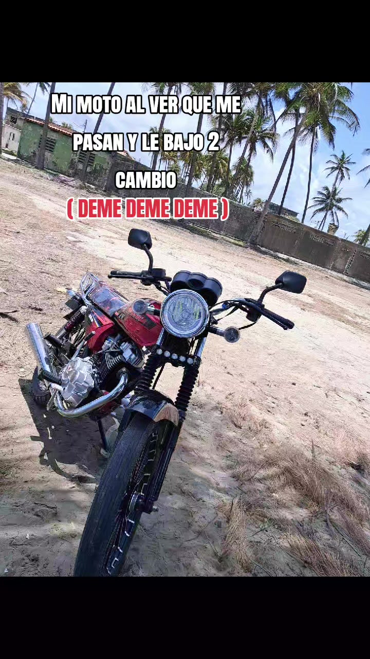 @ටᴘ┋reyes !