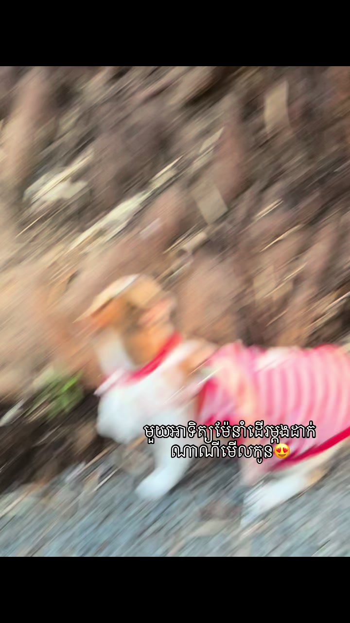 @Mew mew
