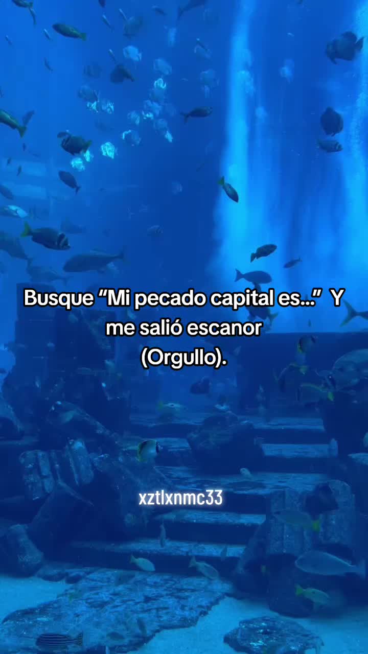 @xztlxnmc33