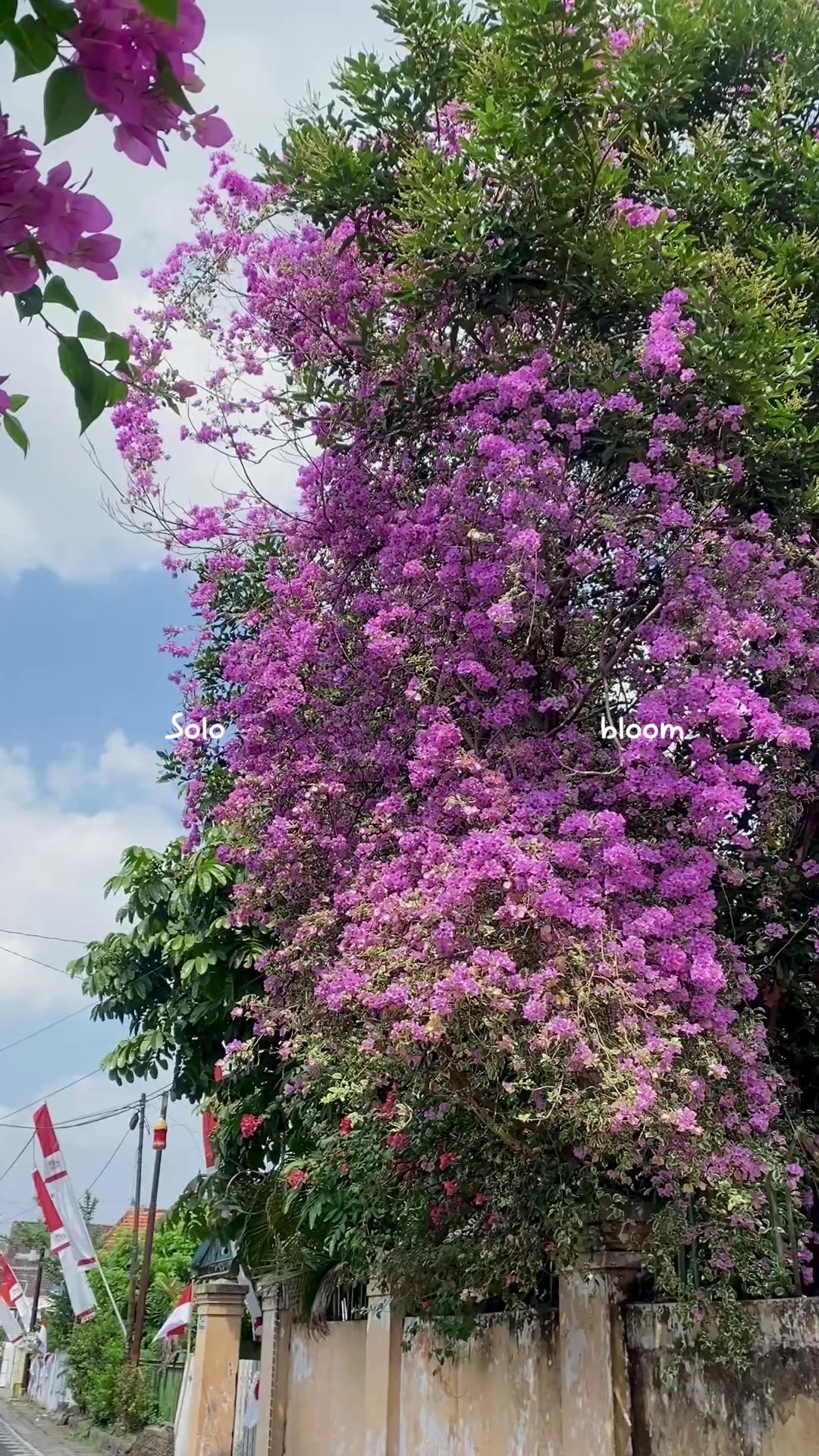 @(๑˃ᴗ˂)ﻭ ꜱɪꜱᴋᴀ ᴇxᴘʟᴏʀᴇʀ