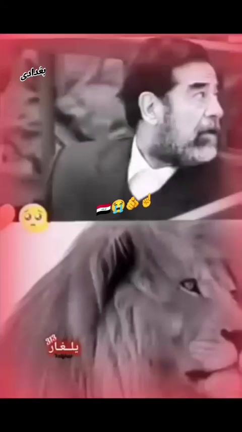 @❤️🩹 کینگ 🫵صدام🇮🇶