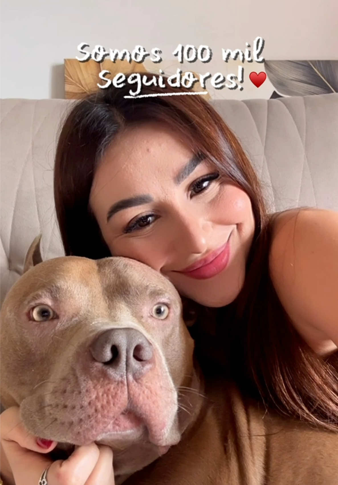 @tutoradobuda