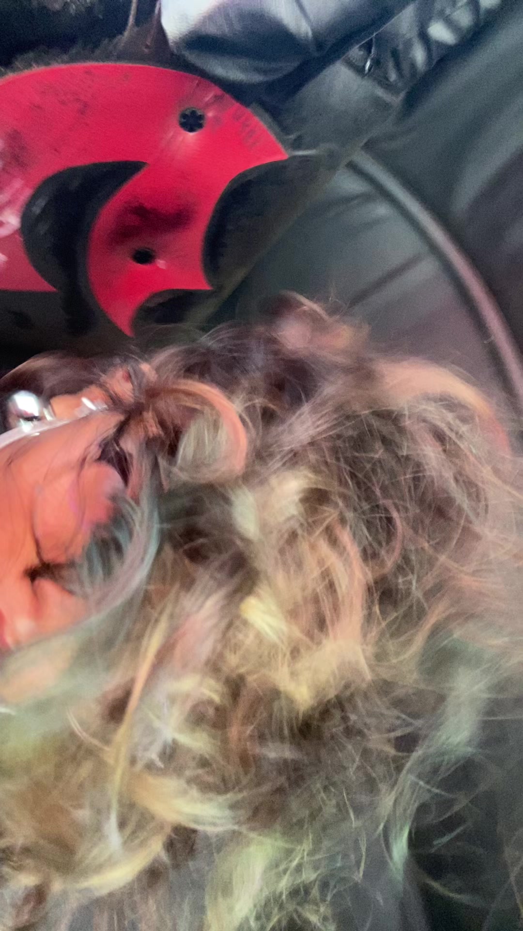 @🧿Whimsy Queen🏳️🌈