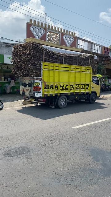 @masandrikv2