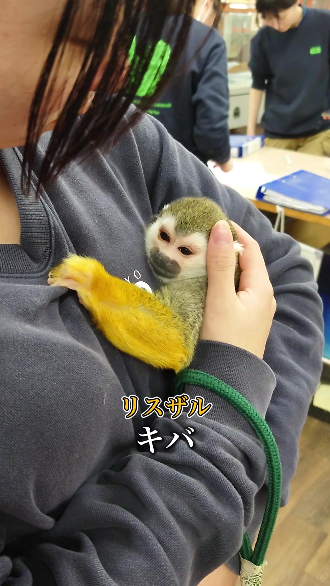 @TCA東京ECO動物海洋専門学校